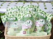 Sayurbox Gandeng Centrigo Hadirkan Sayur Premium Planto