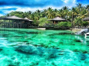 Rekomendasi Spot Snorkeling Terbaik di Kepulauan Derawan, Pelancong Wajib Mampir!