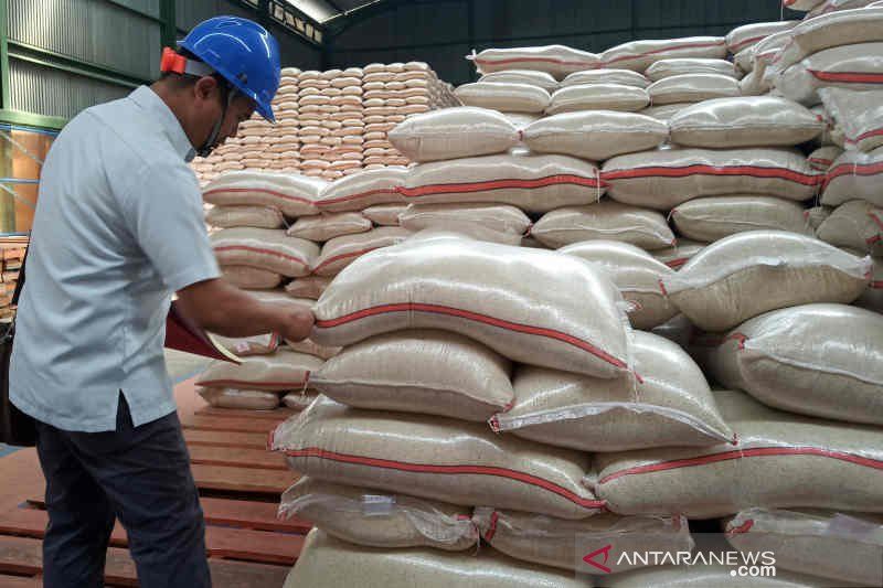 Mentan Syahrul: Stok Beras Aman Selama Pandemi COVID-19