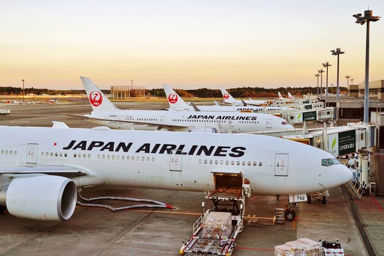 Program Penerbangan Gratis ke Jepang dari Japan Airlines Buat Warga Indonesia
