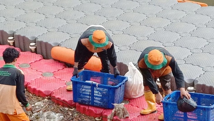 Limbah Jeroan Hewan Kurban Cemari Sungai di Jakarta Timur