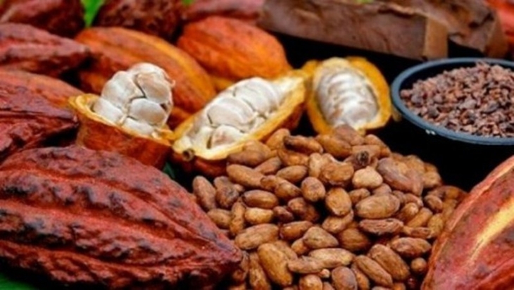 Masnawati Patahkan Mitos 'Kutukan Miskin' Petani Indonesia