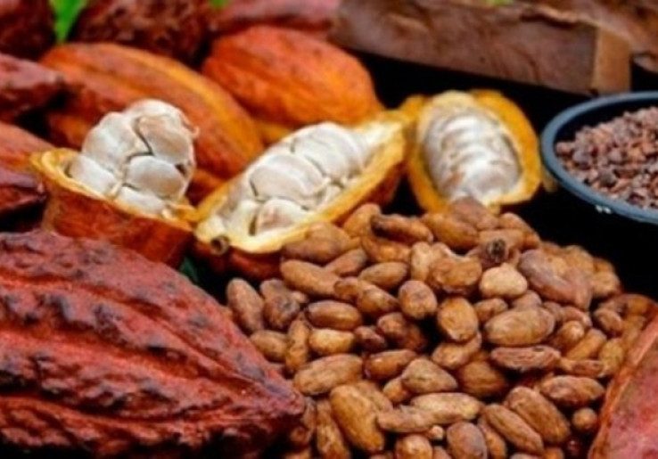 Masnawati Patahkan Mitos 'Kutukan Miskin' Petani Indonesia