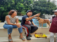 Cerita Pemilik Animal Shelter Olah Kotoran Anabul 