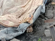 Korban Tewas Letusan Lewotobi Jadi 10 Orang, Mayoritas Tertimpa Batu Erupsi