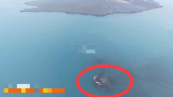Daratan Baru 32,8 Hektare Muncul di Dekat Gunung Anak Krakatau, Ini Penjelasan Badan Geologi