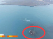 Daratan Baru 32,8 Hektare Muncul di Dekat Gunung Anak Krakatau, Ini Penjelasan Badan Geologi