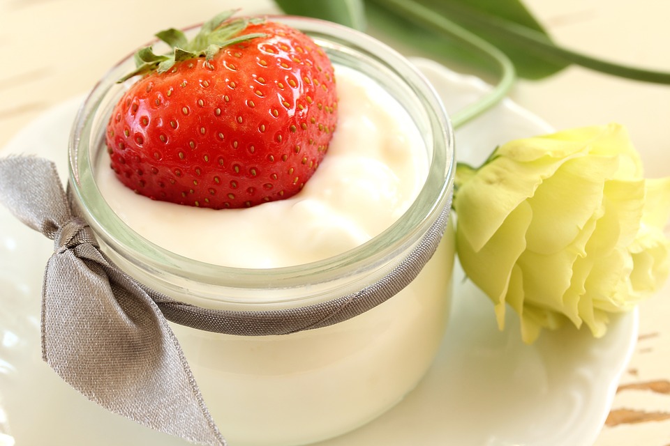 Yoghurt bisa diawetkan juga (Sumber: Pixabay/kamila211)