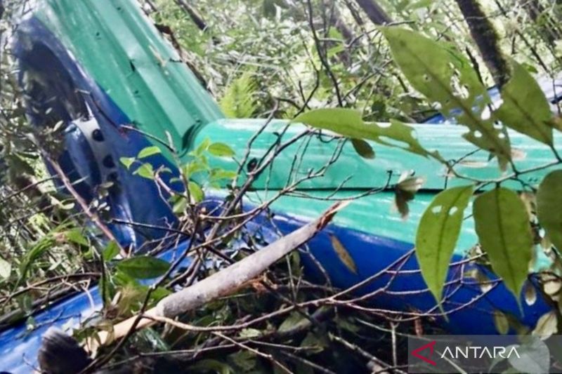 Foto bagian ekor dari bangkai Helikopter BK117 D3 yang hangus terbakar dalam kecelakaan jatuh di titik 03° 5’6” S – 115° 37’39.07” E, kawasan hutan sekitar Air Terjun Mandin Damar, Kecamatan Mentewe, Tanah Bumbu, Kalimantan Selatan, Rabu (3/9/2025). ANTARA/HO-Tim SAR