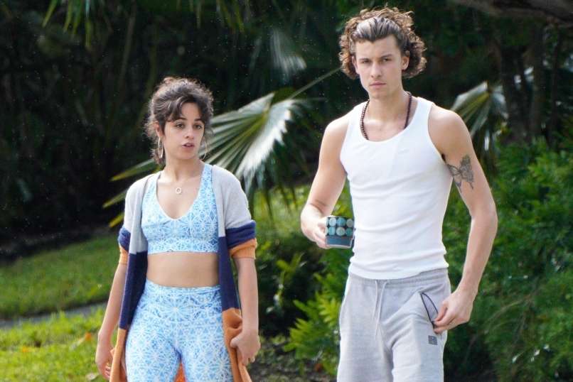 Camila Cabello dan Shawn Mendes Ungkap Cara Menjaga Kesehatan Mental