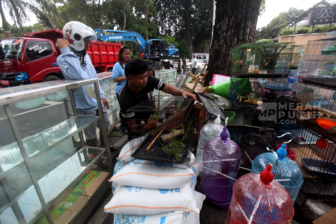 Pedagang menjual hewan peliharan usai penertiban kios Pasar hewan Peliharaan Barito, Jakarta Selatan, Senin (27/10/2025).