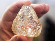 Mengecewakan, Peace Diamond Terjual hanya US$ 6,5 Juta