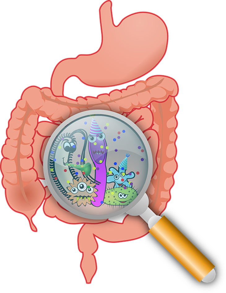Keram perut bisa mengindikasikan iritasi usus besar. (Foto: Pixabay/OpenClipart-Vectors)