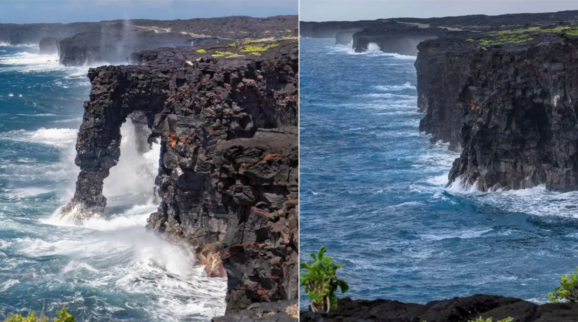 Karang Laut Holei Ikonis Berusia 550 Tahun di Hawaii Runtuh