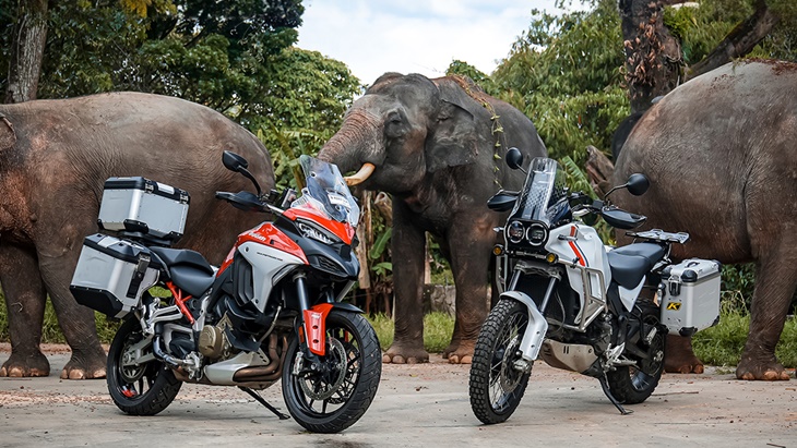 Ducati Ajak Rider Telusuri Jalanan Taman Safari Indonesia