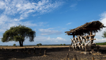 Pesona Taman Nasional Baluran