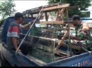 Penyerangan Polsek Ciracas Bikin Pedagang Trauma