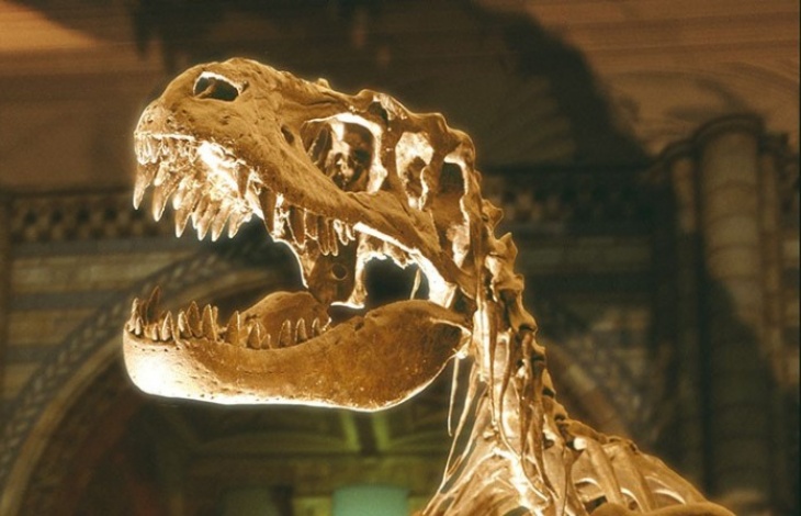 Neuralink: Kami Bisa Menghidupkan Kembali Dinosaurus seperti di Jurassic Park
