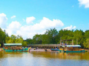 Hutan Mangrove Bedul, Amazone-nya Indonesia Ada di Banyuwangi