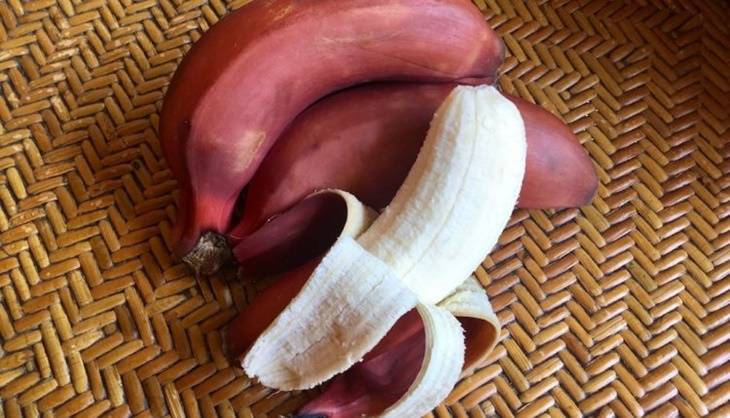 Pisang Merah