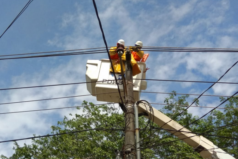 Tim PDKB melakukan pemeliharaan jaringan SUTM 20 kV untuk meningkatkan keandalan pasokan listrik (Istimewa)