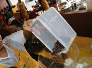 Dimas Juliannur Fajar, Penguji Rasa Kopi Kelas Dunia