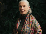 Konservasionis Dame Jane Goodall Meninggal di Usia 91 Tahun, Wariskan Pengetahuan Luar Biasa bagi Umat Manusia