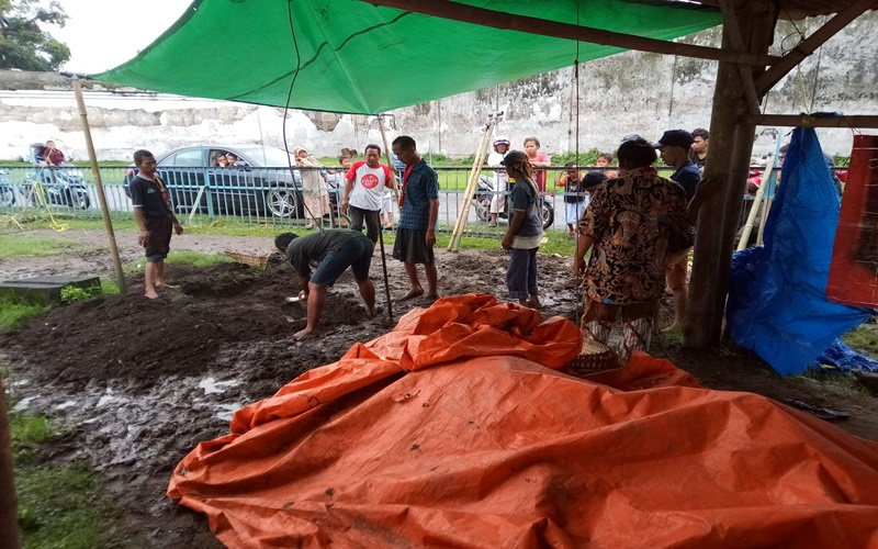 Kerbau bule bernama Kiai Joko milik keraton Solo mati