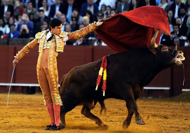 matador