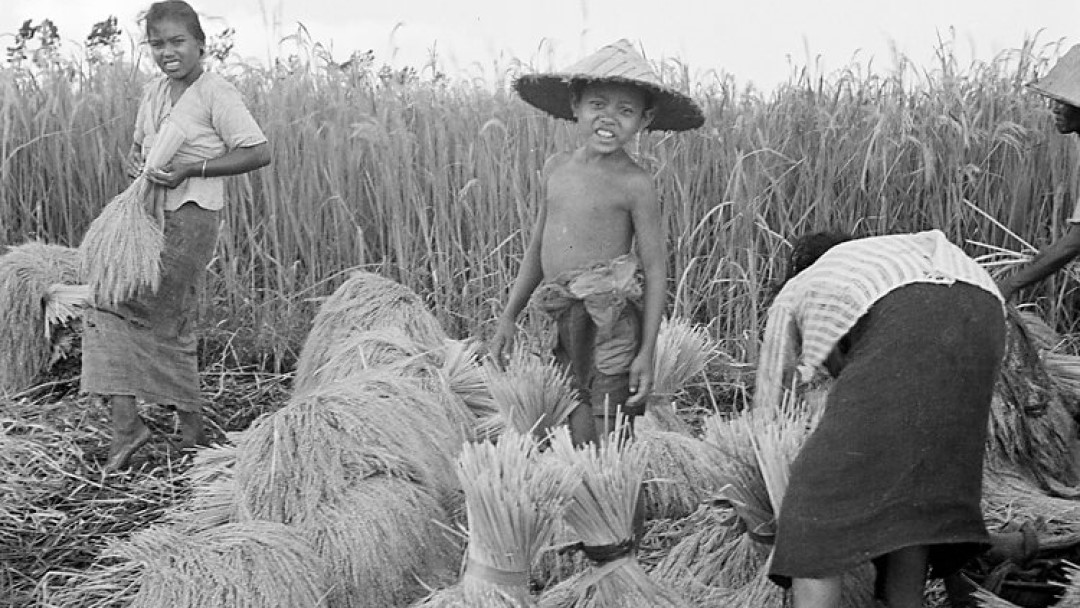Sejarah Program Makan Bergizi Zaman Sukarno, Menggugah Kesadaran Gizi Anak Sekolah