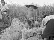 Sejarah Program Makan Bergizi Zaman Sukarno, Menggugah Kesadaran Gizi Anak Sekolah