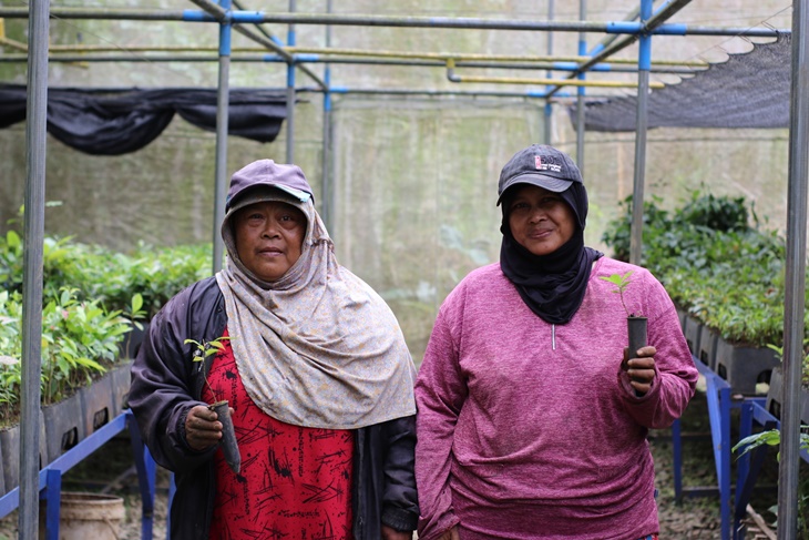 Delegasi Uni Eropa Adopsi 1.100 Pohon di Jawa Barat
