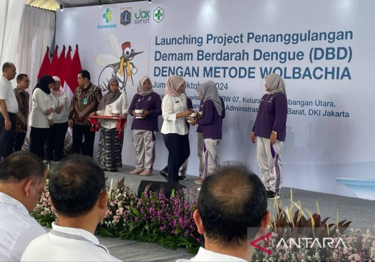 Kemenkes Klaim Nyamuk Wolbachia Mampu Pangkas Kasus DBD Hingga 77%