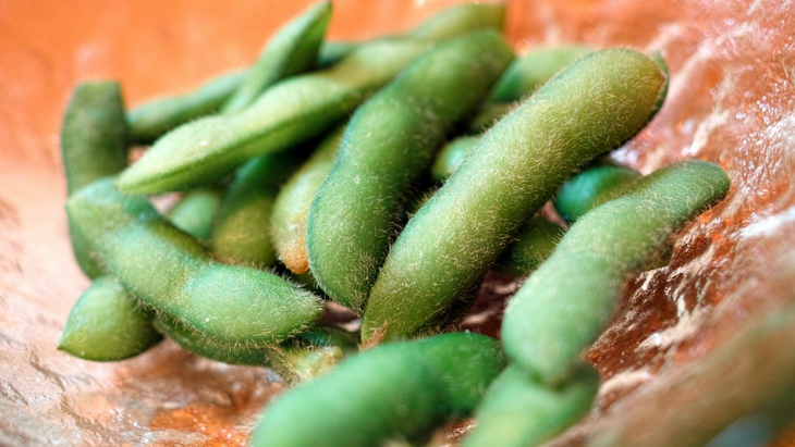 Manfaat Kacang Edamame Bagi Kesehatan