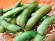 Manfaat Kacang Edamame Bagi Kesehatan