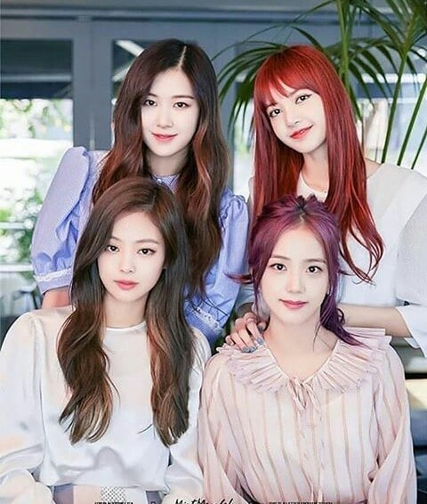 awal mula jennie bergabung blackpink