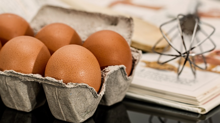 Gambar telur. (Pixabay/stevepb)