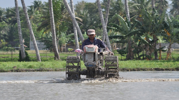 Provinsi NTT Gencar Cari Lahan Sawah Baru
