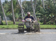 Provinsi NTT Gencar Cari Lahan Sawah Baru