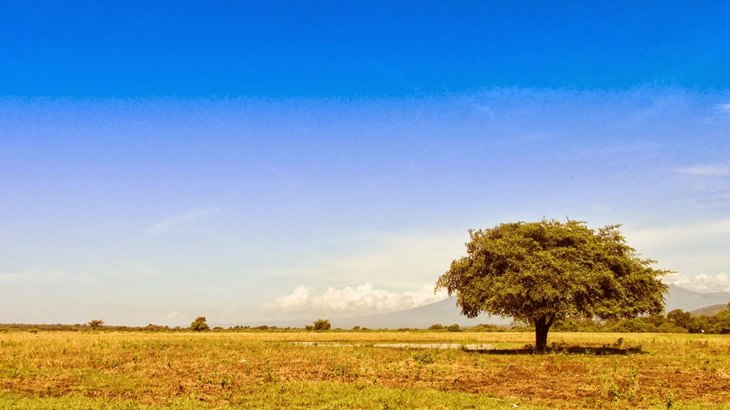 baluran