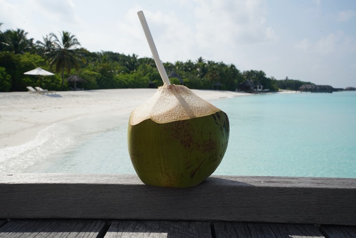 Jangan Berlebihan Minum Air Kelapa