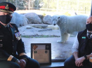 Beruang Kutub di Toronto Zoo Kanada ini Naik Pangkat Jadi Kopral Master