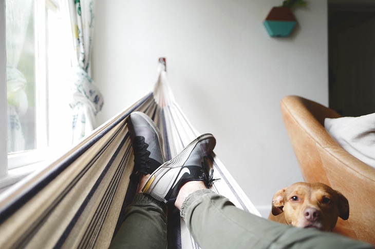 animal telepathy cara berkomunikasi dengan hewan