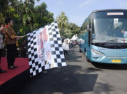 Pengamat Minta Jokowi Buat Program Mudik Gratis