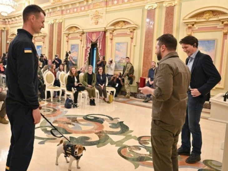Patron, Anjing Pelacak Ranjau Dianugerahi Medali oleh Presiden Ukraina