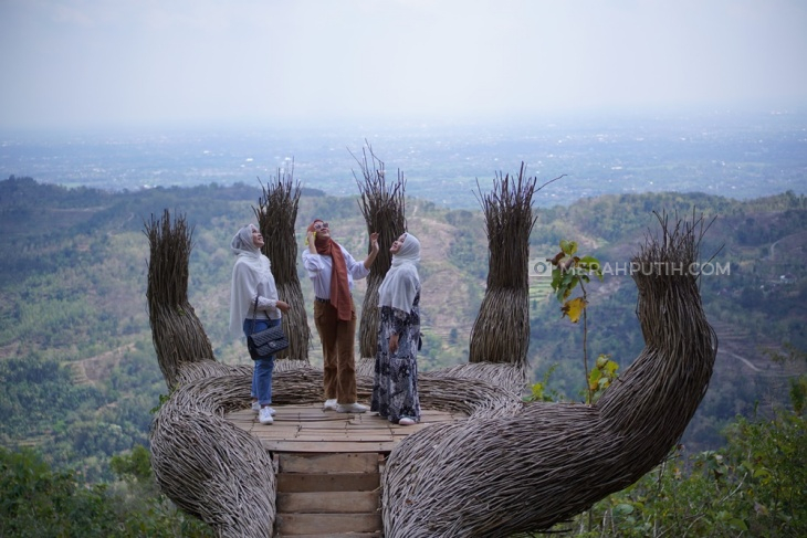 Hutan Pinus Pangger