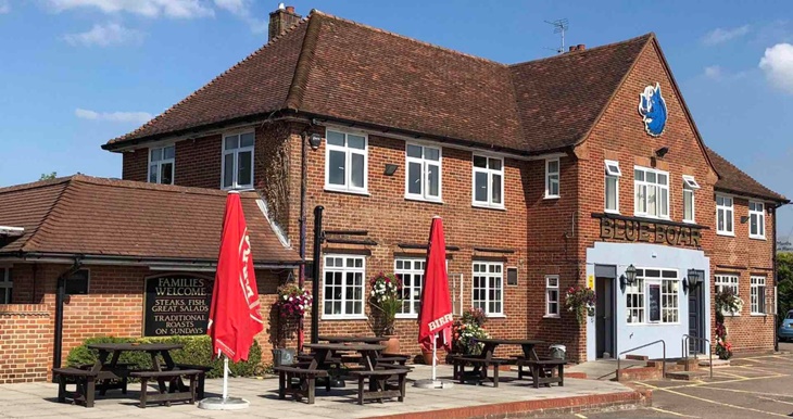the blue boar