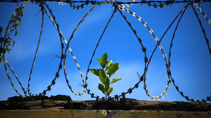 Razia Narkoba  Besar-besaran Dalam Penjara, Enam Tewas