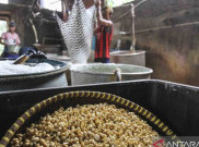 Harga Kedelai Melonjak Tinggi, PKS Minta Kurangi Ketergantungan Impor