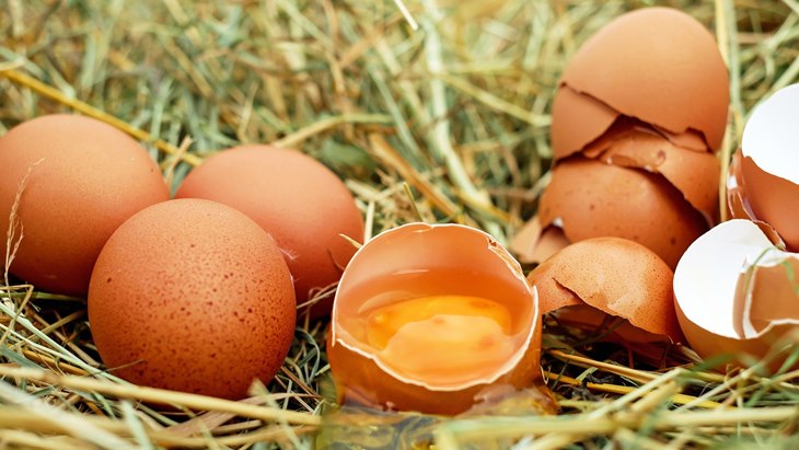 telur